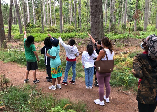 Fourth-grade students bird watching.