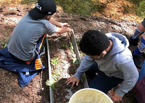 Students demonstrate erosion by constructing miniature streams.