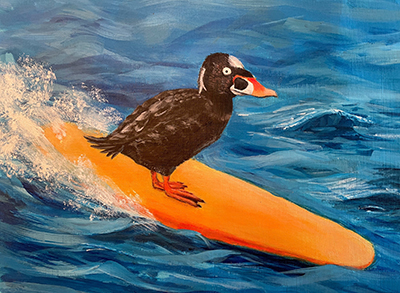 Winner of the non-traditional category for the 2025 Junior Duck Stamp Contest, a surfing surf scoter.