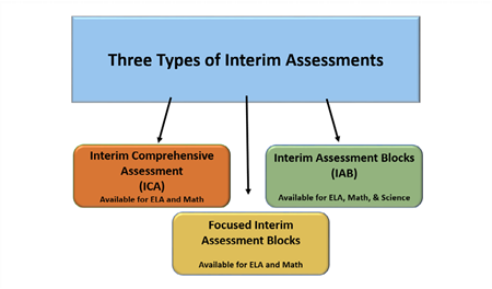 Image of three types of interims: ICA, IAB and focus blocks.