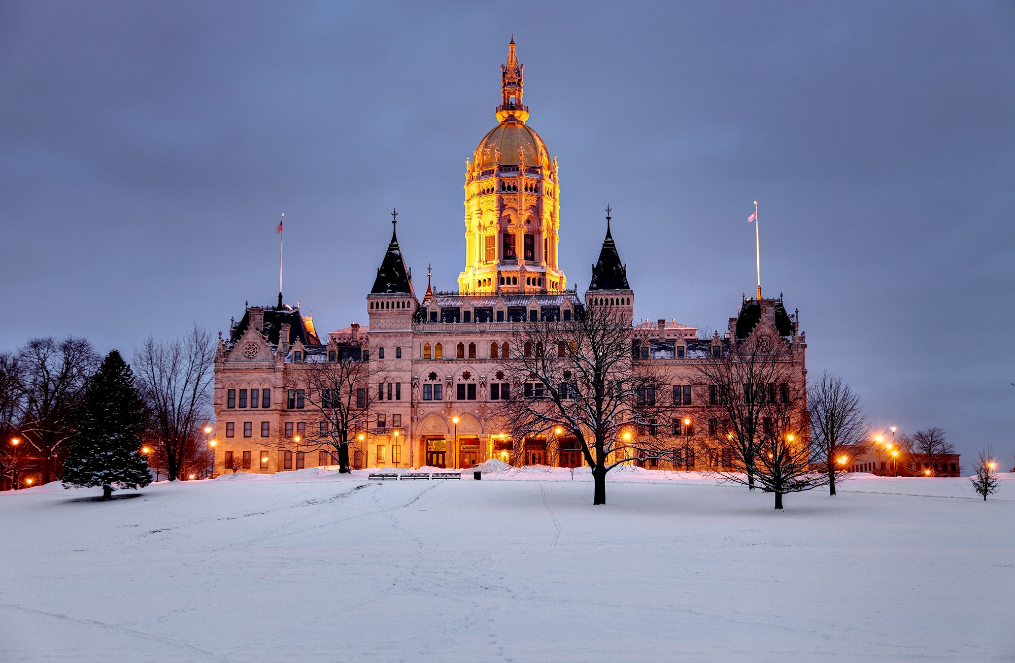 State Capital with Snowy Background