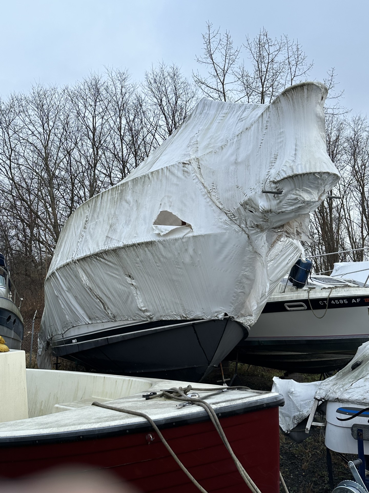 31'1", Wellcraft St. Tro