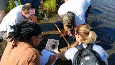 Educators working together during professional development workshop