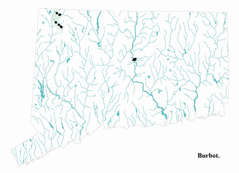 Burbot distribution map.