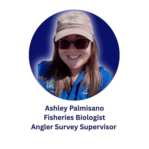 Marine Recreational Information Program Staff Photo Ashley Palmisano Fisheries Biologist Angler Survey Supervisor