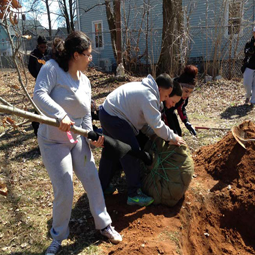 People planting trees.