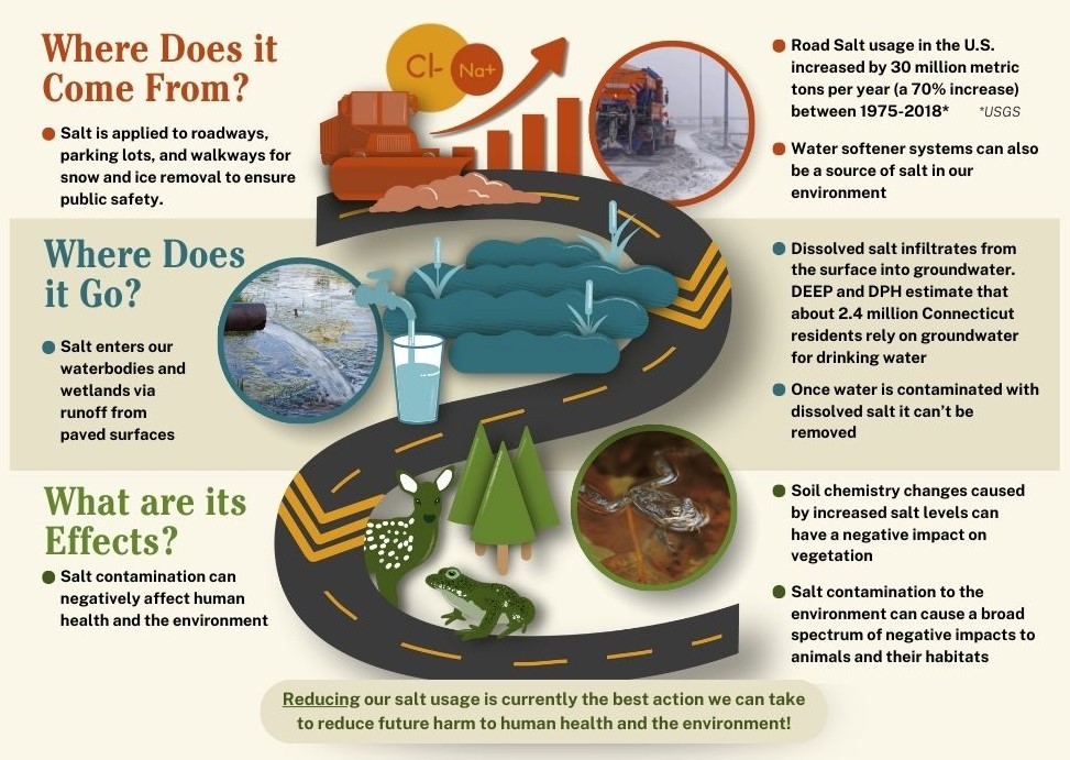 Infographic about salt impacts in our environment