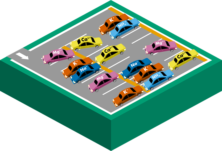 Infographic illustrating soil chemistry represented by a parking lot
