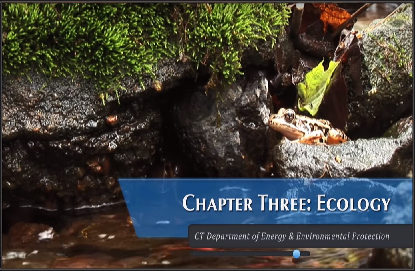 Municipal Inland Wetlands Training Video Series 3, Chapter 3