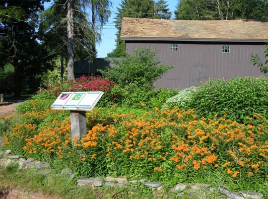 Butterfly garden and sign at Belding Wildlife Management Area.