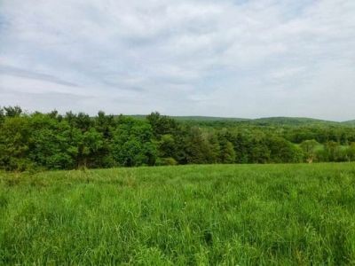 Auerfarm State Park Scenic Reserve