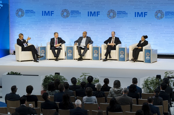 IMF-IAIS panelists
