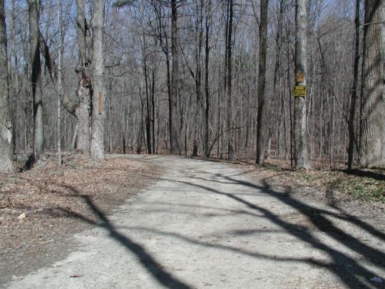 Black Pond Woodstock Access