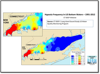 Example of data map template for hypoxia in LIS