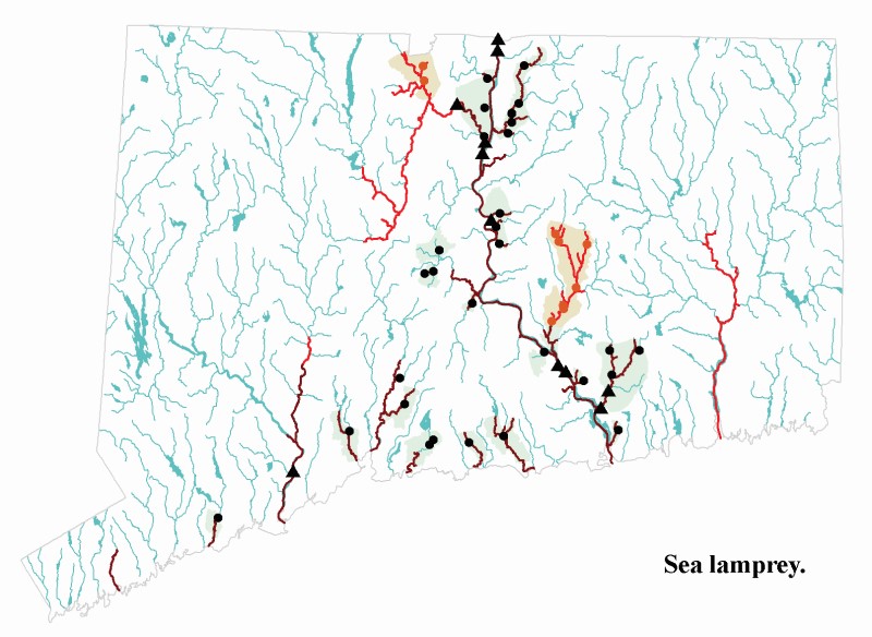 Sea lamprey distribution map.