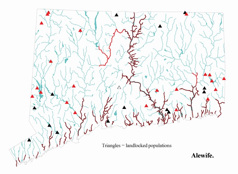 Alewife distribution map.