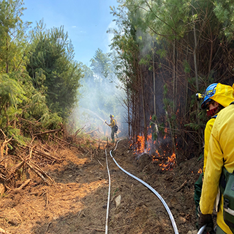 Wildfire Response from CT Forestry, Thompson, CT
