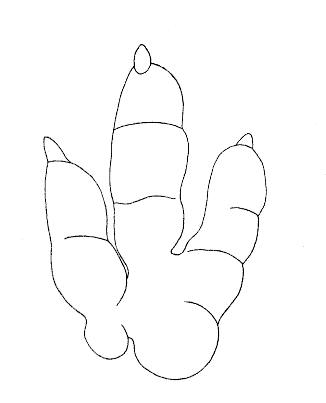 sketch of dino print