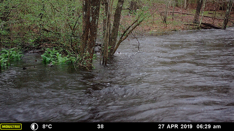 Streamflow Category 6