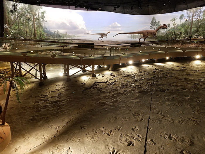 Dinosaur State Park Tracks