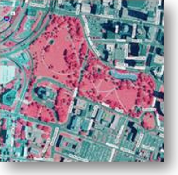 2010 GIS Aerial Image